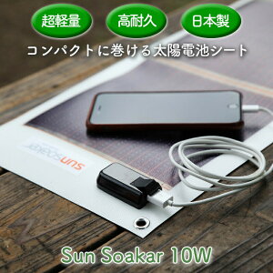 \[[[d Cg hЃObY |[^u X}z[d gя[d USB|[gt AEghA hЃObY p d X|[c oR O T\[J[ zdrV[g 10W yʁEϋv 