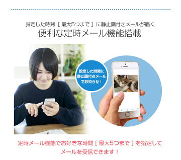防犯カメラワイヤレス屋外屋内SONYセンサー243万画素〈選べるカメラ〉バレットタイプ【双方向通話】&ドームタイプ【マイク内蔵】★プリレコード★APなど豊富な機能★監視カメラIPカメラネットワークカメラワイヤレスWiFi【送料無料】
