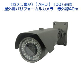 楽天市場 Ace 防犯カメラの通販