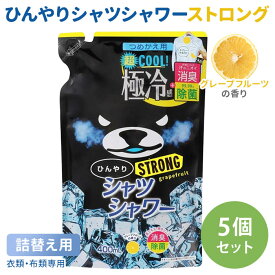 【7/11「サタプラ」で紹介】ひんやりシャツシャワー ストロング つめかえ用 5個セット グレープフルーツの香り 詰め替え用 ときわ商会 極冷感 超クール 涼感スプレー 衣類用 詰替え用 リフィル