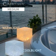 CARRY THE SUN ミディアム LED ランタン キャリーザサン ソーラーランタン インテリア 折り畳み 太陽光パ…