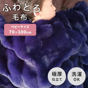 7Life ӂƂѕz 70×100 lCr[ xr[TCY S uPbg Ђ| ѕz t@[  ӂӂ ƂƂ ӂ rbgt@[ NX^t@[ 2킹 W\ ۉ {