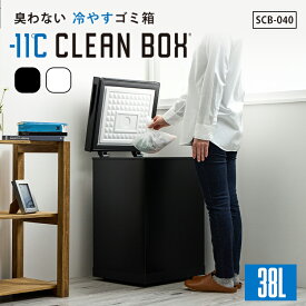 【クーポン発行中】【メーカー直送】 SANKA 冷やすゴミ箱 クリーンボックス CLEANBOX 38L -11℃ ふた付き 臭わない 凍らせる 冷凍 防臭 消臭 ペット おむつ 生ごみ処理 消臭ゴミ箱 キャスター付き 縦型 スリム 大容量 静音 省エネ ステンレス デザイン家電 サンカ