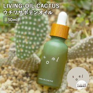 �y2%OFF�N�[�|���z�y���K�̔��X�zsoel LIVING-OIL CACTUS �E�`���T�{�e���I�C�� 30mL �\�G�� ���r���O�I�C�� ���e�I�C�� �ێ� �u�[�X�^�[�I�C�� �������e�t �L�����N�Z�C�̍���