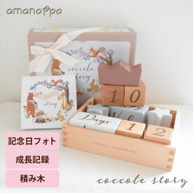 【300円OFFクーポン】amanoppo coccole story あまのっぽ アニバーサリーつみき 月齢フォト 木のおもちゃ 積み木 出産祝い 誕生日 ギフト ベビー 新生児 成長記録 おもちゃ 知育玩具