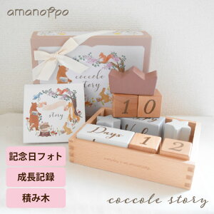 y300~OFFN[|zamanoppo coccole story ܂̂ Ajo[T[݂ tHg ؂̂ ςݖ oYj a Mtg xr[ V L^  mߋ