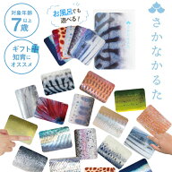 【クーポン発行中】【9/16「ラヴィット！」で紹介】【正規販売店】千葉印刷 さかなかるた SK-0001 お風呂…
