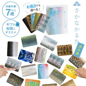 y300~OFFN[|zyK̔Xz t Ȃ邽 W SK-0002 CŗVׂ   낱 C h 邽  J^ J[hQ[ a  m  
