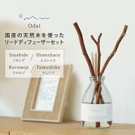 【クーポン発行中】Odai リードディフューザーセット アロマディフューザー イヌシデ ヒメシャラ クロモ…