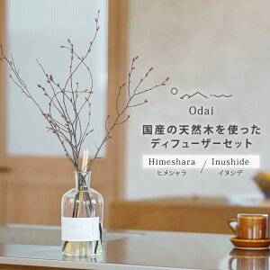 y}\N[|zOdai II_C fBt[U[Zbg A}fBt[U[ qV CkVf VR VR100 tOX G F Xт̍  Xї z[