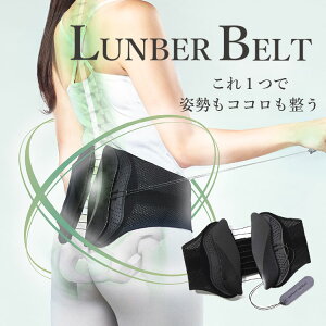 y500~OFFN[|zy[J[zWAVEWAVE LUMBAR BELT Ճxg  T|[^[ Ջ RZbg  xg xg ␳ p EFCuEFCuy|Cg5{z