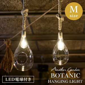 y2000~OFFN[|zBOTANIC HANGING LIGHT APE-021 y_gCg  킢 邢 _ g Vv GR LEDd  ȓd A k _CjO KX AeB[N 