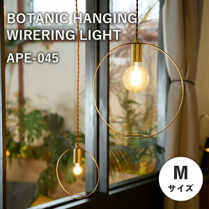 BOTANIC HANGING WIRERING LIGHT M {^jbNnMOCOCg MTCY APE-045 V ݂艺 Ɩ y_gCg  k re[W rO _CjO JtF Q Xd