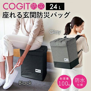 COGIT h 錺֖hЃobN 24L RWbg hЃObY ֈ֎q  bN hЃObY [ hЗpi nk΍ ЊQ΍   h Ϗd100kg e 2WAYbN ubN