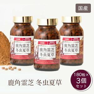 y2500~OFFN[|zp ~đ 3Zbg 180×3 Tvg NHi  LmR  A~m_ -OJ RWZs Y _ Ɖu GCWOPA ̒Ǘ 