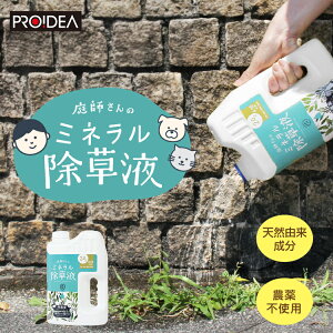 PROIDEA t̃~lt 2L  VRR Q S  G  S K[fjO  _sgp ͂炵 G΍ G  _ ɂ₳ ͂炷 VR