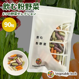 【クーポン発行中】ベジタブルテック 飲む粉野菜 6つの野菜セレクション 90粒 サプリ ごぼう 赤ピーマン 紫人参 赤紫蘇 ケール モリンガ 農薬不使用 無農薬 野菜不足 カプセル 粉末 国産 野菜パウダー 野菜嫌い ヴィーガン 離乳食【メール便送料無料】