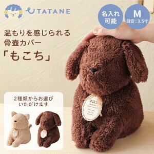 y[J[zv[gt UTATANE ybgJo[  M 3.5 CAT DOG  ʂ  L   d [ ّ ۊ ybgAy|Cg2{z