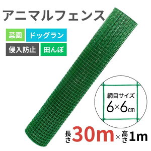 lbg  tFX hb Aj}lbg  Aj}tFX hblbg  1m 30m hb _Ɨplbg | K[fjO   CmVV  ΍ Nh~ St Stlbg K