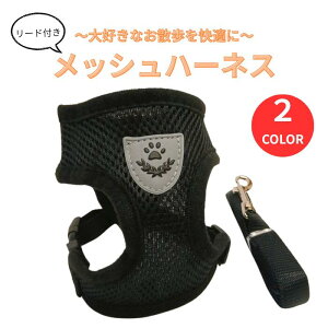  n[lX Y^^Cv bV Sy ꂵȂ ʋC ȒP U K ^ ^ L [h ybg  EFA  Lbg hbO ̕ L̕ LbgEFA hbOEF