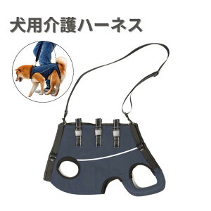 pn[lX  pn[lX  n[lX  ⏕n[lX p  s⏕ VjA s ⏕ p V ⏕n[lX Ȃ VjA ^ ^ V pn[lX