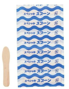 _ |̂ ؐ ACXN[Xv[ܓ STCY 300{