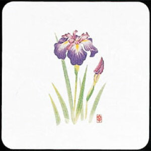 V-ZEN ĝ a R[X^[ lG p  WCO-K4 50