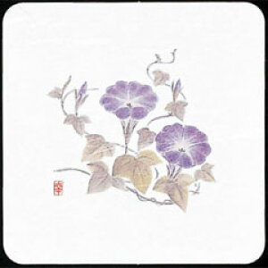 V-ZEN ĝ a R[X^[ lG p  WCO-K6 50