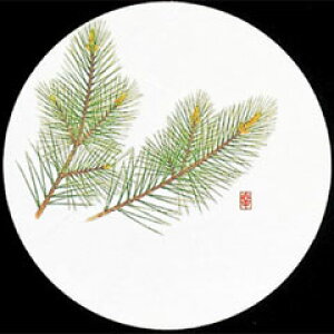 V-ZEN ĝ a R[X^[ lG   WCO-M1 50