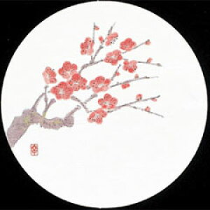 V-ZEN ĝ a R[X^[ lG  ~ WCO-M2 50