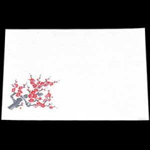 �V-ZEN ���ԍR�ۘa�� ���΃}�b�g �ڎO�܂��� 390×264mm �~ WS-14 100����