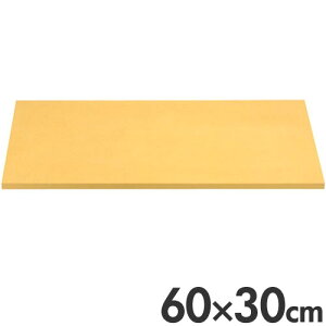 ATqS S܂Ȕ ATq NbLJbg Rۃ^Cv G103 60×30cm