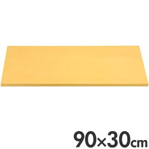 ATqS S܂Ȕ ATq NbLJbg Rۃ^Cv G106 90×30cm