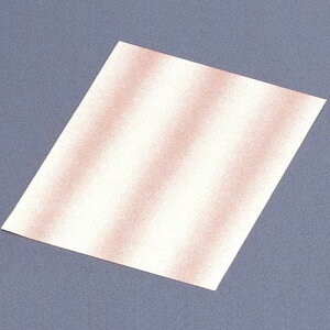 }C Ɩp Ȏ 19×24cm ʉ_  300 M30-101