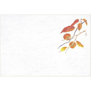 }C Ɩp ĝ e[u}bg lG  39×26.5cm `(9-10) 100 M30-211