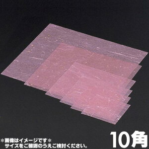 }C Ɩp ~l[g  10p 10×10cm 500 M30-419