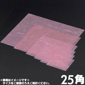 }C Ɩp ~l[g  25p 25×25cm 500 M30-422