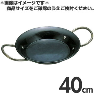 SpGA  傫40cm