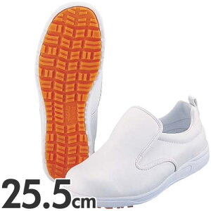 ATqRbN 101 ϖC 25.5cm zCg