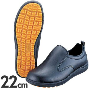 ATqRbN 101 ϖC 22cm ubN