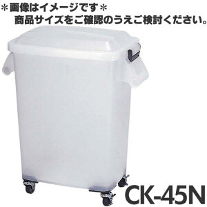 A ~[y[  LX^[t CK-45N i`