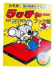 b`[3PubN^Cv e500G JH E܁ElY~