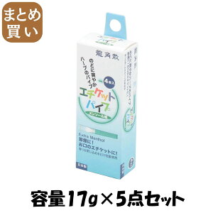 【まとめ買い】龍角散エチケットパイプ 。お届は単品1個です。 容量17G×5点セット ライテック パイプ