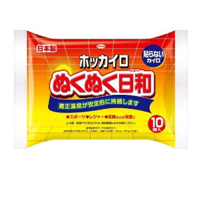 ホッカイロ ぬくぬく日和 貼らないレギュラー10個 容量10個 興和 カイロ