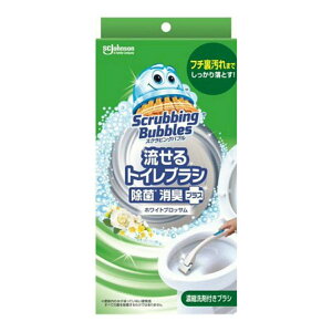 XNrOou gCuV ۏLvX zCgubT̍ {̗e1