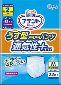 Aeg^炳pcʋCvXMjp22 e22 剤 lpIc
