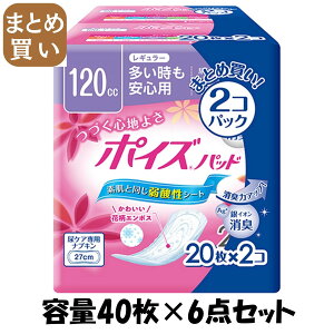 y܂Ƃߔz|CYpbhM[20×2pbN e40×6_Zbg {NVA pi