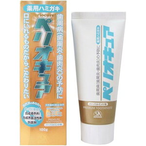 pn~KLyILA@100G e100G GXP[Ό 