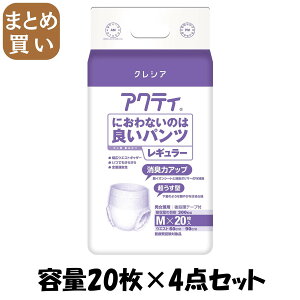 y܂ƂߔzANeB@ɂȂ̂͗ǂpcM[@M20 e20×4_Zbg {NVA lpIc