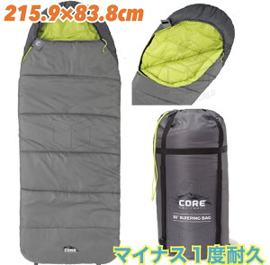 yC{CXΉzcore RA 30F nCubhQ @􂢉\ O[ Q Lv AEghA hЃObY